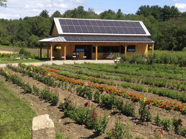 Goodbye summer, hello apples