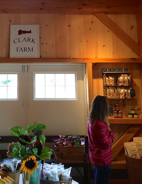 Clark farm stand with shopper in MA