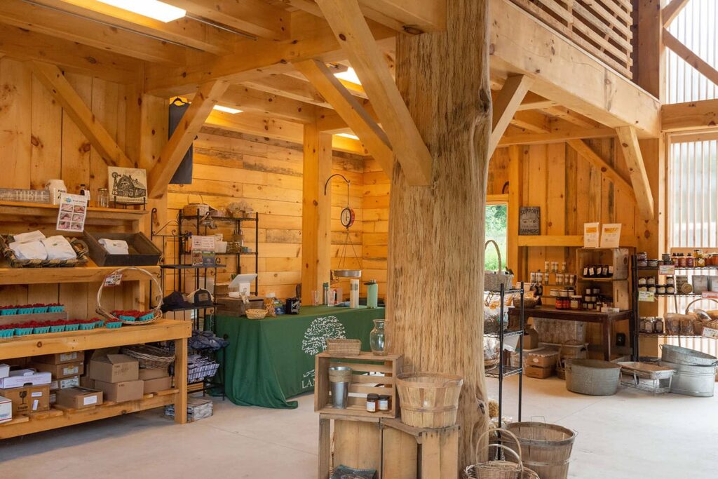 Tree in a timber frame barn