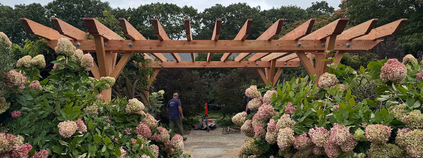 new douglas fir pergola surrounded by hydrangeas at the American Heritage Museum in Stow Massachusetts